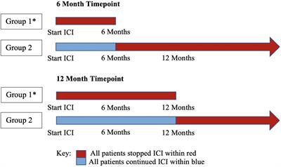 Early discontinuation of immune checkpoint inhibitor therapy prior to disease progression in patients with metastatic non-small cell lung cancer: a survival analysis
